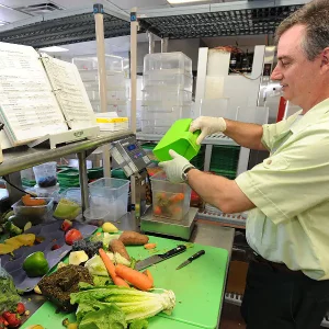 Free Animal Ration Formulation Softwares & How to Use Them